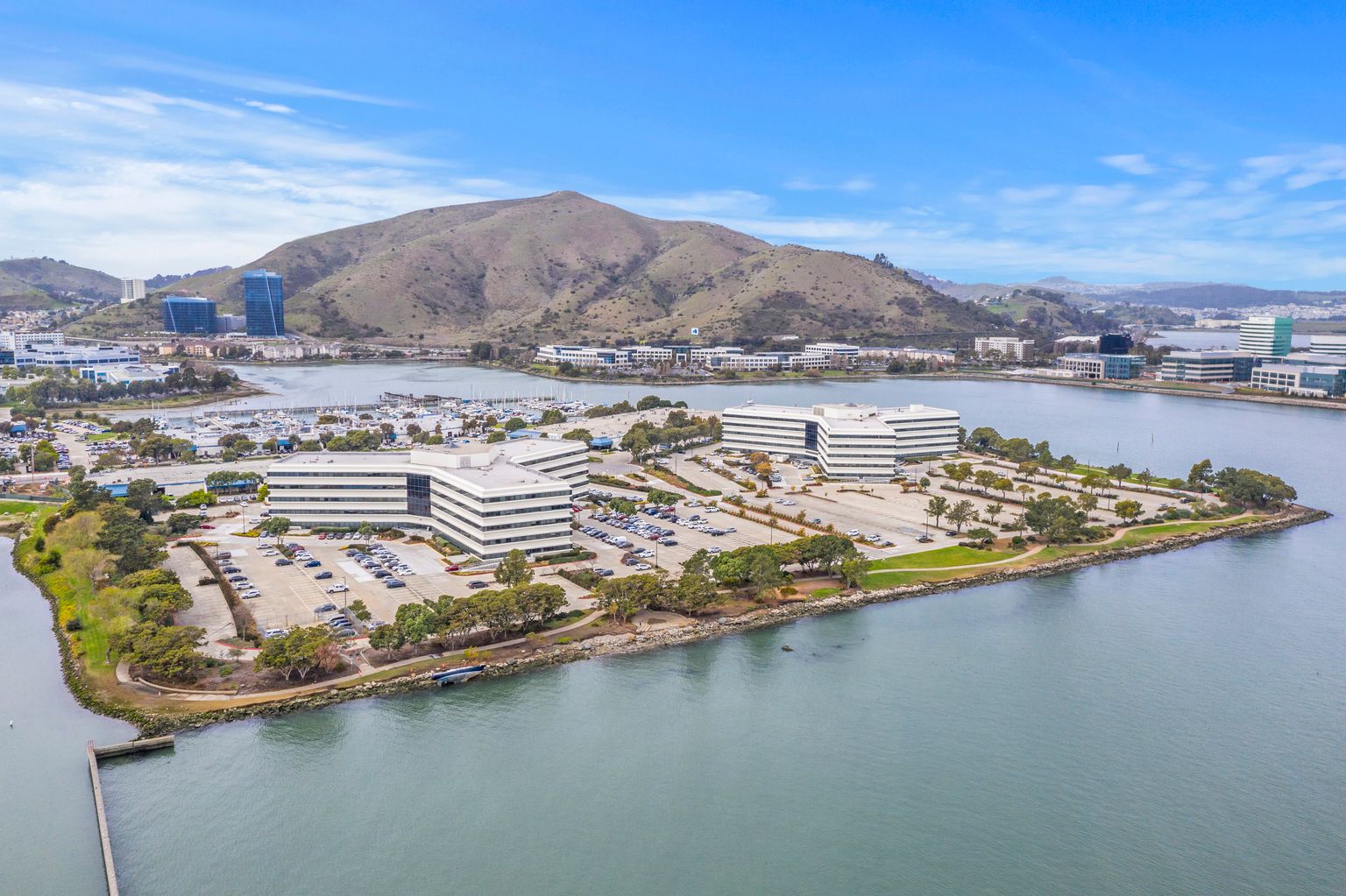 Gallery Oyster Point